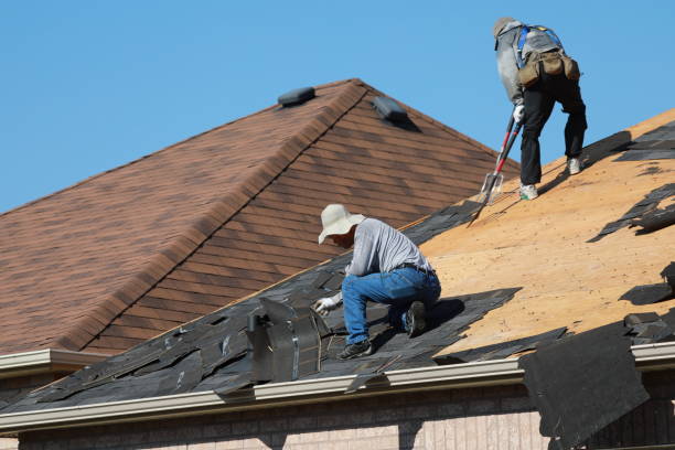 Best Rubber Roofing (EPDM, TPO)  in Park Rapids, MN